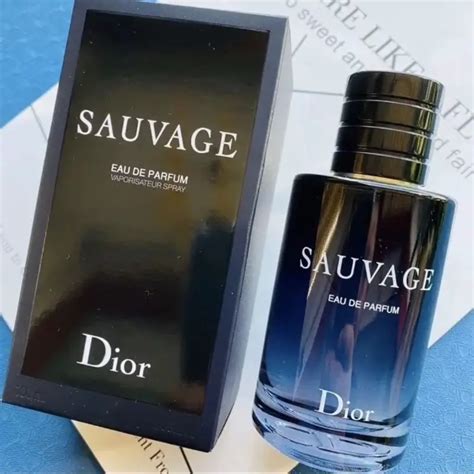 sauvage dior uomo caratteristiche|what does dior sauvage smell like.